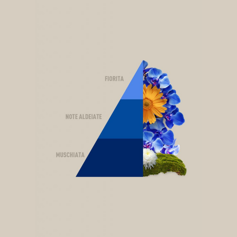 Carica immagine in Galleria Viewer, HOROTWINS - Blue Fior di Loto