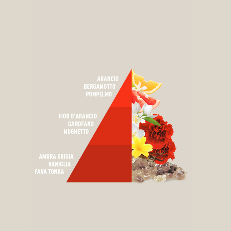 Carica immagine in Galleria Viewer, HOROTWINS - Imperial Soap