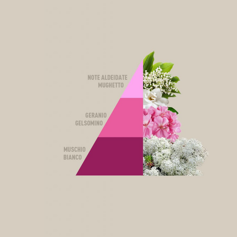 Carica immagine in Galleria Viewer, HORO4 - 4 fragranze da 50ml