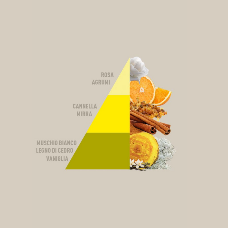 Carica immagine in Galleria Viewer, HOROMIA - Vaniglia e Mirra 250ml