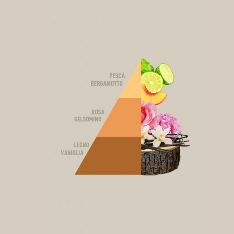 Carica immagine in Galleria Viewer, HORO1 - 4 fragranze da 50ml