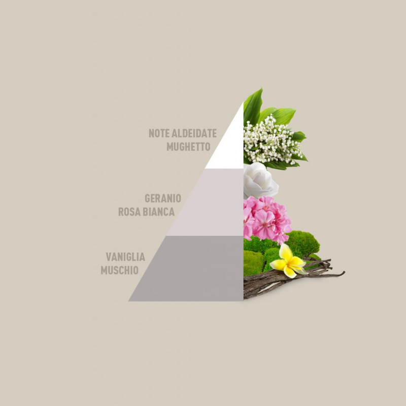 Carica immagine in Galleria Viewer, HORO4 - 4 fragranze da 50ml