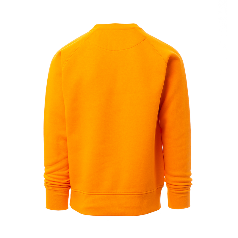 Carica immagine in Galleria Viewer, MISTRAL - Felpa girocollo