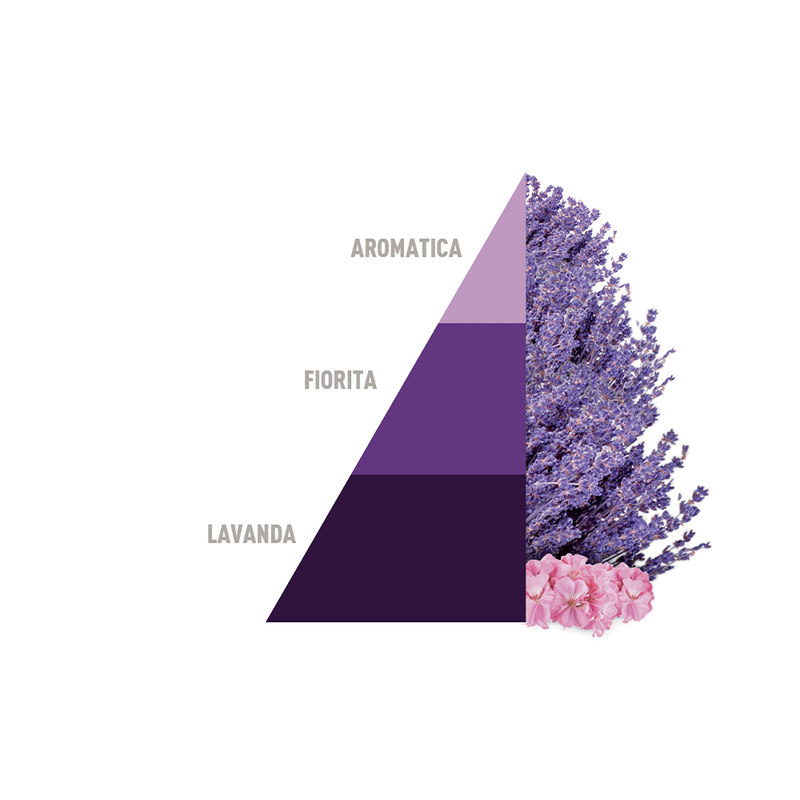 Carica immagine in Galleria Viewer, Horotwins Aromatic Lavender