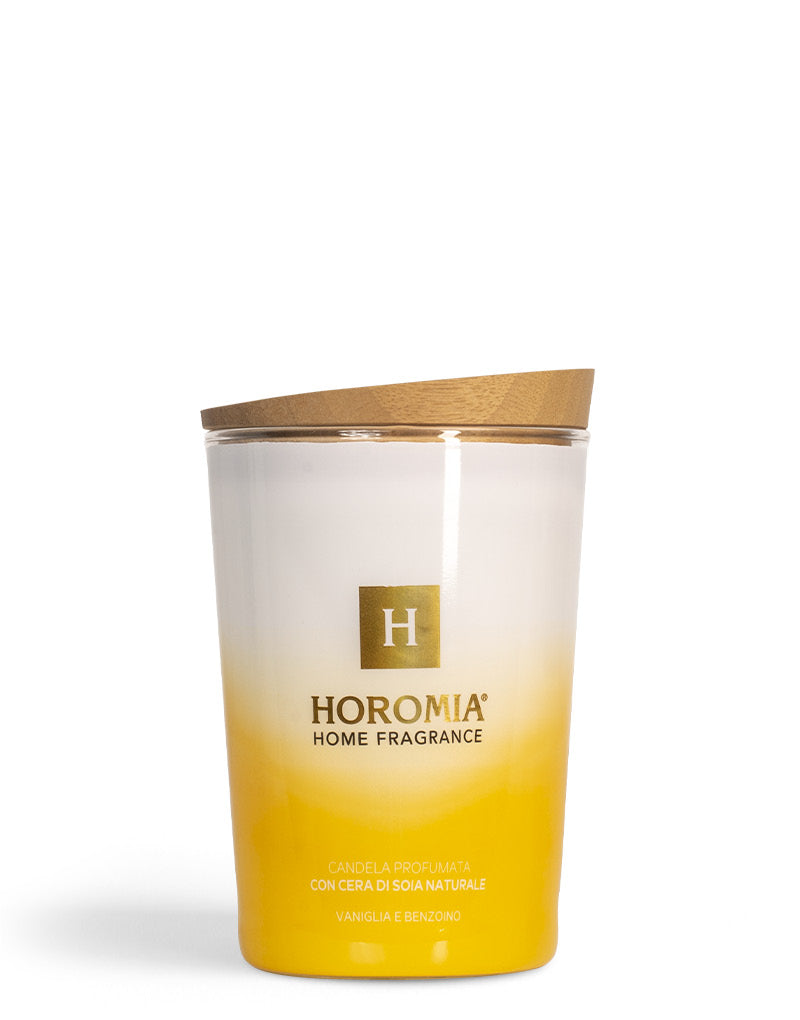 Carica immagine in Galleria Viewer, Candela Profumata Vaniglia e Benzoino 350g
