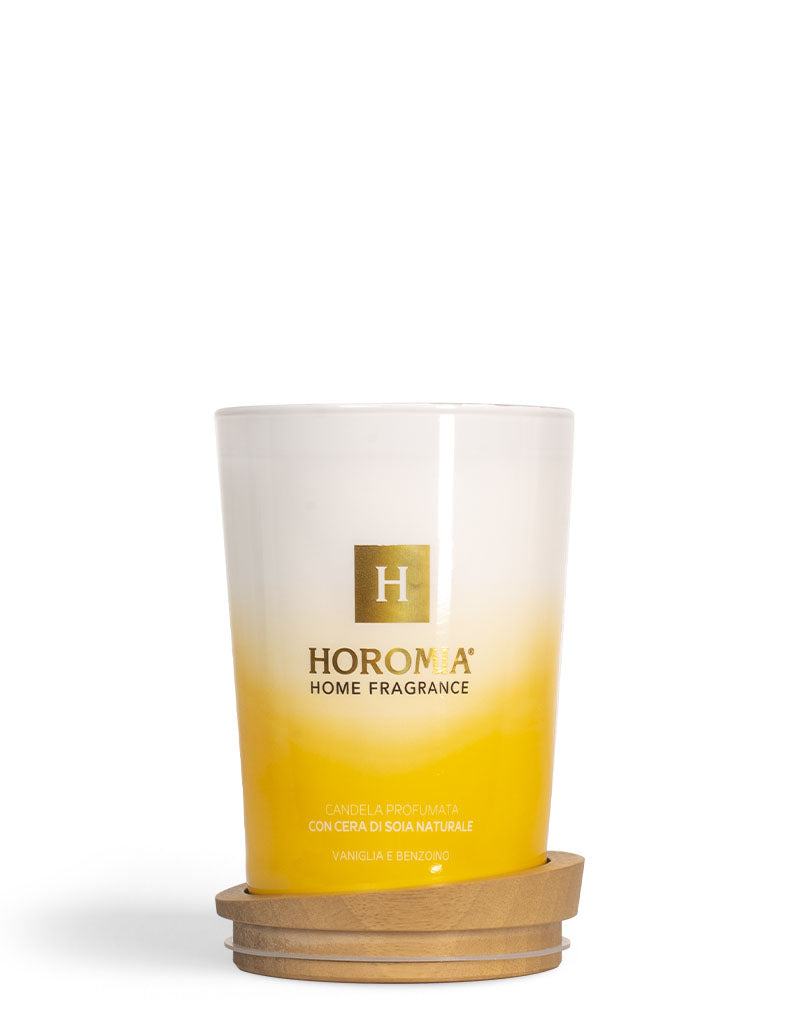 Carica immagine in Galleria Viewer, Candela Profumata Vaniglia e Benzoino 350g
