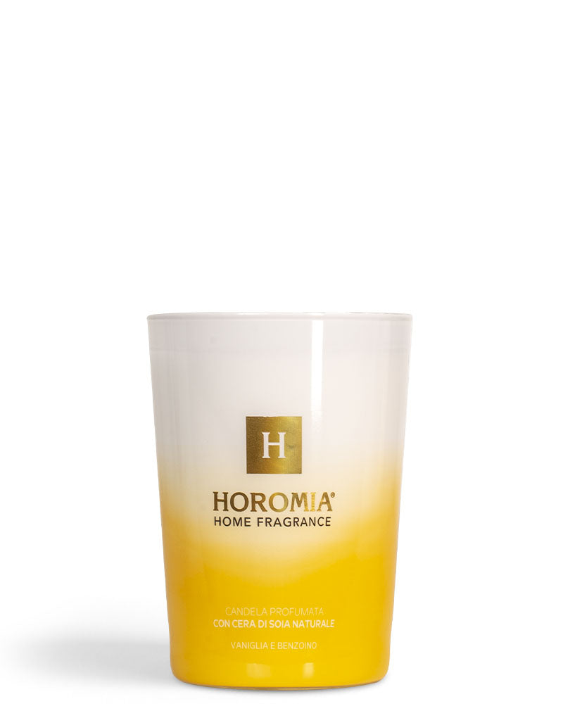 Carica immagine in Galleria Viewer, Candela Profumata Vaniglia e Benzoino 350g
