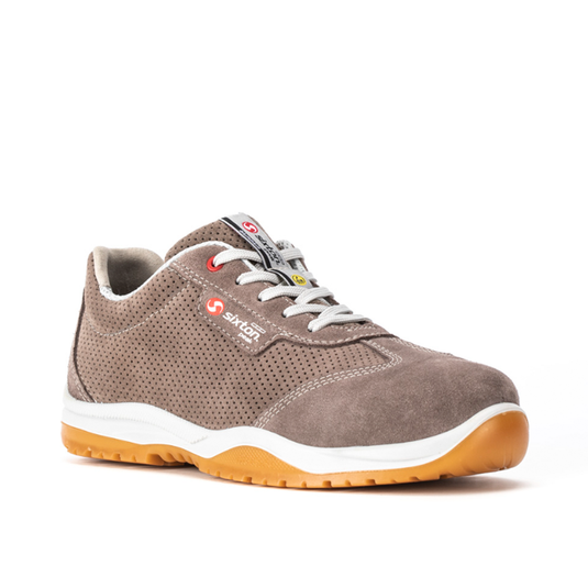 DANCE <br> S1P SRC ESD