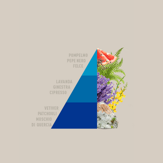 HOROMIA - Diffusore a bastoncini "Fiori blu"