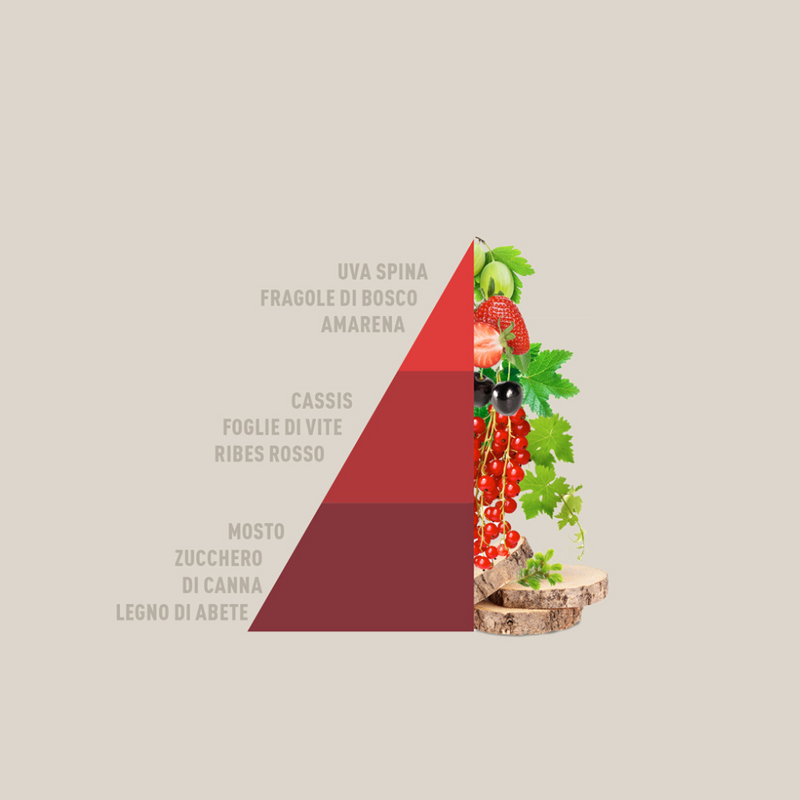 Carica immagine in Galleria Viewer, HOROMIA - Diffusore a bastoncini &quot;Vigneto rosso&quot;
