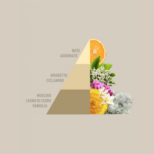 HORO1 - 4 fragranze da 50ml