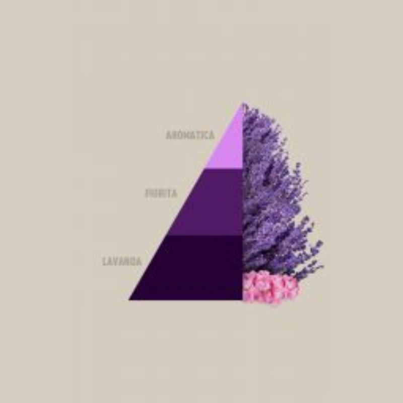 Carica immagine in Galleria Viewer, HOROTWINS - Aromatic Lavander
