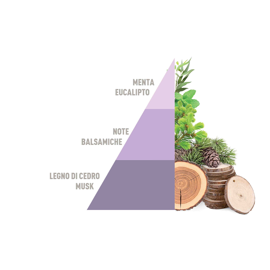 Horotwins Brezza di Primavera