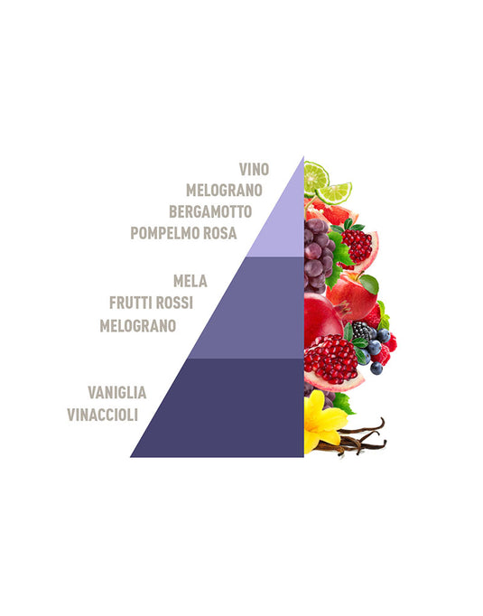 Ricarica per Diffusore a Bastoncini Grape & Pomegranate 500ml