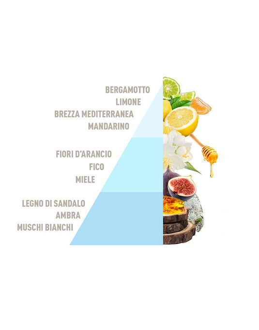 Ricarica per Diffusore a Bastoncini Mediteranean Living 500ml